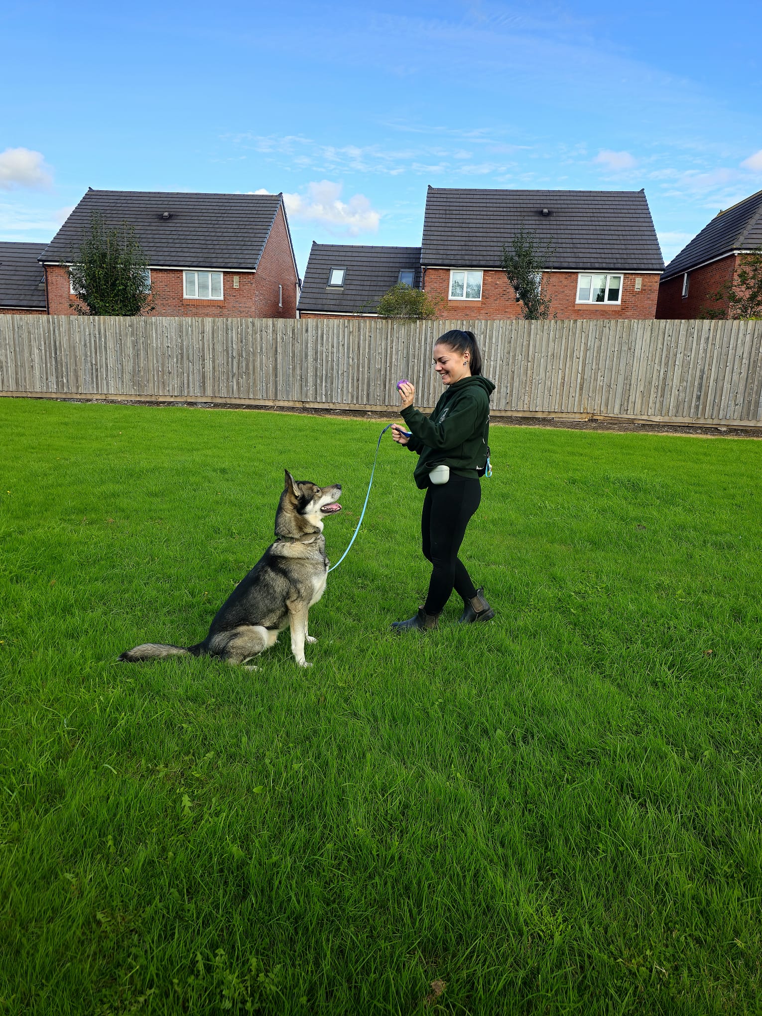 Dog walking through a local Manchester park